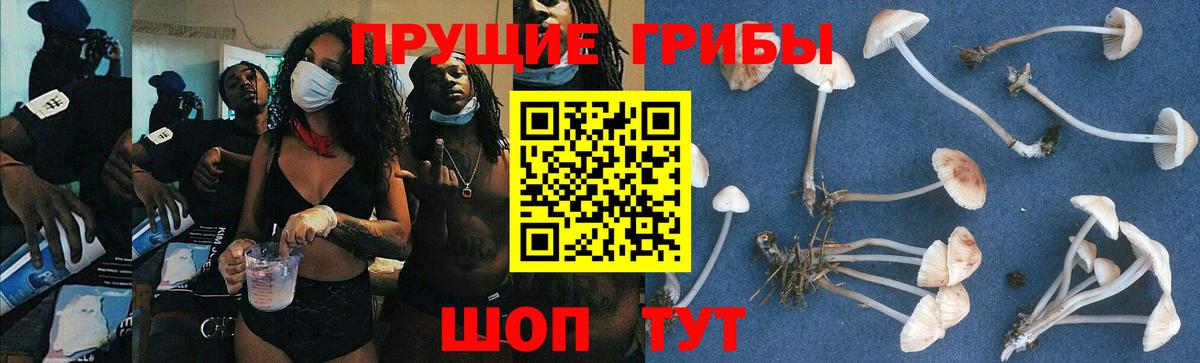 Псилоцибиновые грибы мухоморы  Вход с VPN  Галлюциногенные грибы мухоморы  купить  цена  Аша 